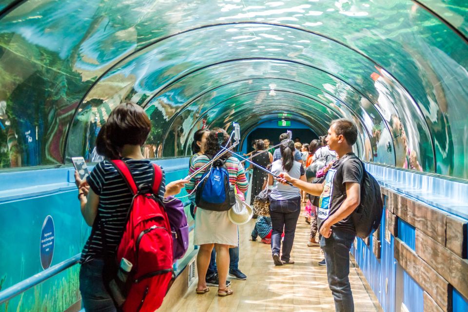 Combo Attraction Pass: Sydney Tower Eye, Sea Life & More - Key Points