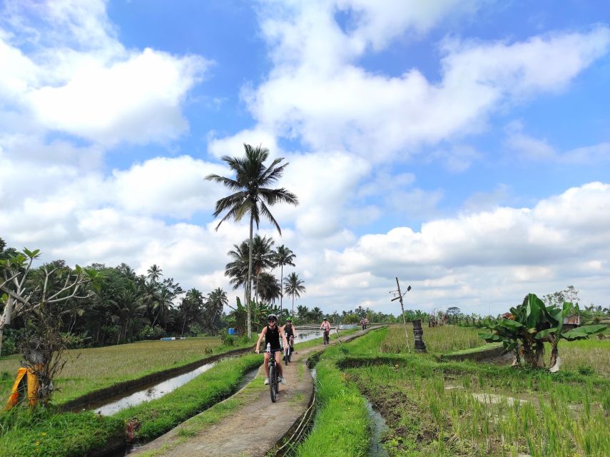 Country Side Electric Bike Tour - Key Points