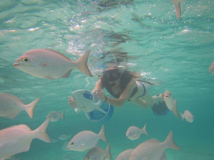 Cozumel: Sea Scooter Snorkel Tour