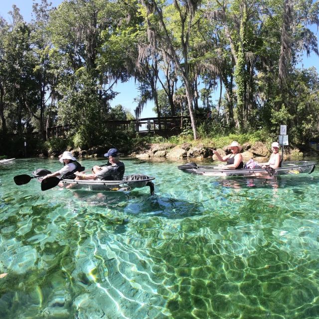 Crystal River: Springs and Manatees Clear Kayak Tour - Key Points