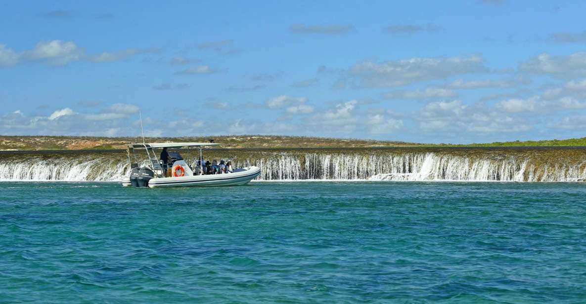 Cygnet Bay Unique Tidal Waterfall Reefs Scenic Cruise - Key Points