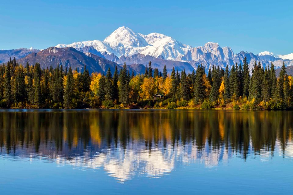 Denali State Park: 2.5 Hour Byers Lake Kayaking Tour - Key Points