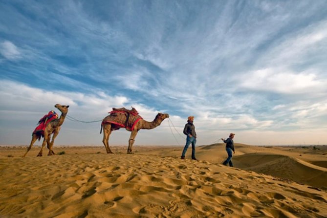 Desert Camel Safari Day Tour In Jodhpur - Key Points