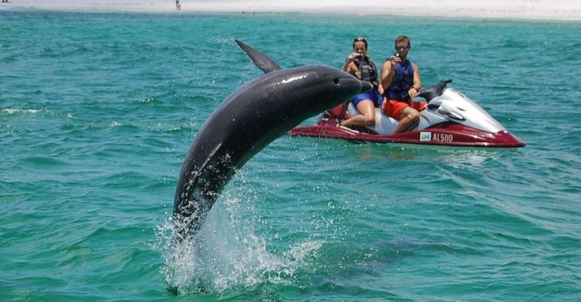 Destin: Crab Island Dolphin Watching Jet Ski Tour - Key Points