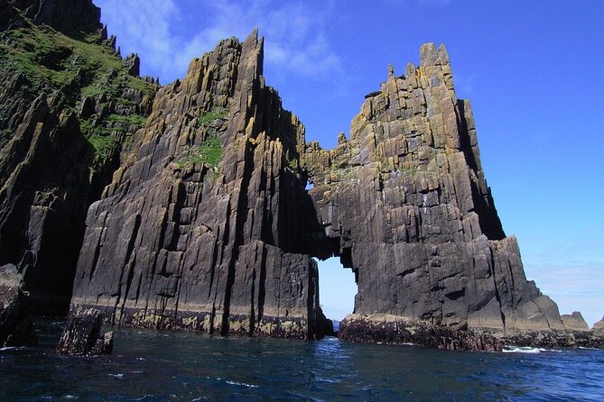 Dingle Boat Tours Wildlife RIB Adventure - Overview of Dingle Boat Tours