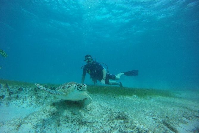 Discover Fajardo: 2-Tank Scuba Diving - Overview of Fajardo Diving