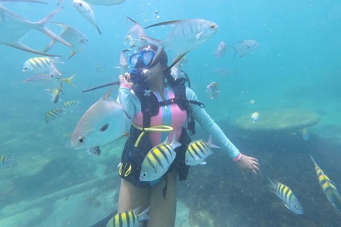 Discover Scuba Diving in San Juan, Puerto Rico - Whats Included in the Package