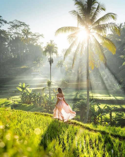 Discover Ubud: Tailored Private Tour With Top Highlight - Key Points