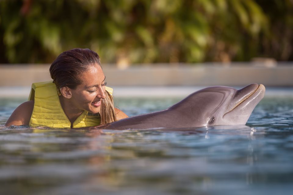 Dolphin Connection Riviera Maya: Dolphin Connection - Key Points