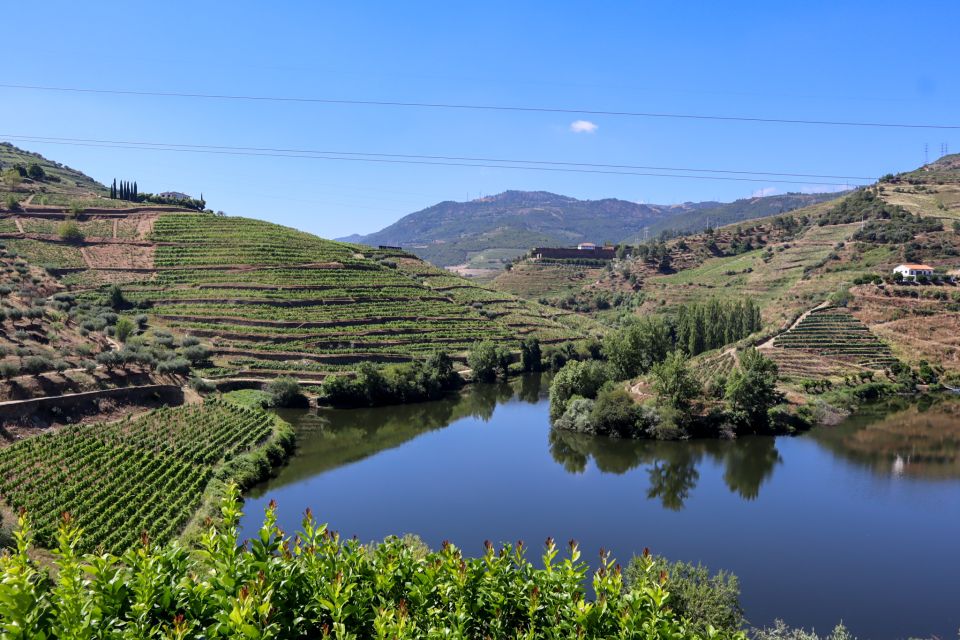 Douro Valley: Douro Valley Tour Including 3 Wineries - Tour Overview