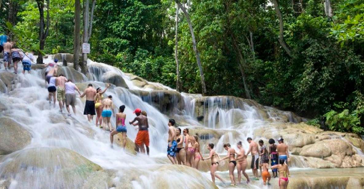 Dunns River Falls and Bob Marley Mausoleum Tour - Key Points