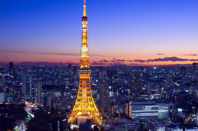 Dynamic Tokyo: Tokyo Tower, Tea Experience, Bay Cruise Day Tour - Key Points