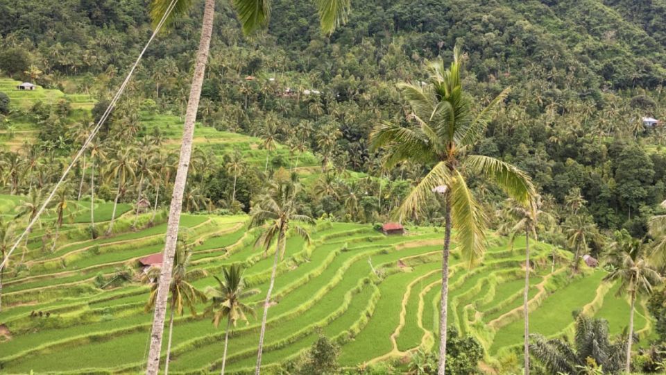 Enchanting Bali Adventure: Sekumpul and Fiji Waterfall Expedition - Key Points