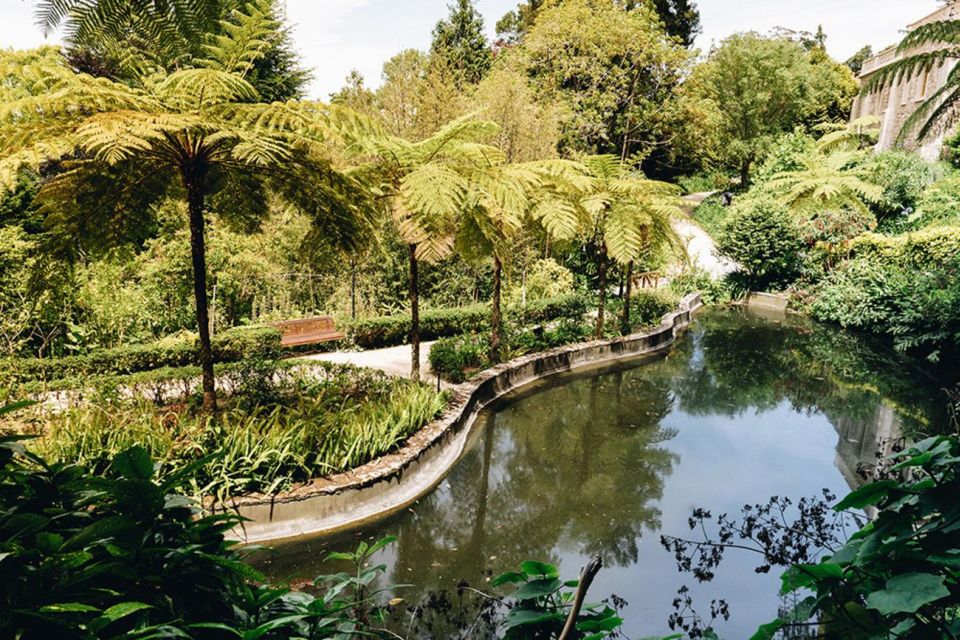 Enchanting Sintra: Palaces, Sweet Indulgences and Wine