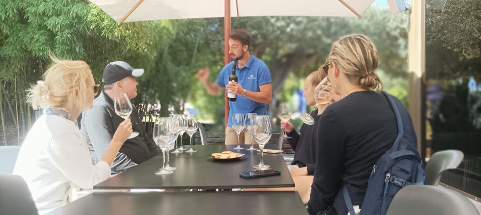 Exclusive Arrábida Wine and Food Tasting Tour - Key Points