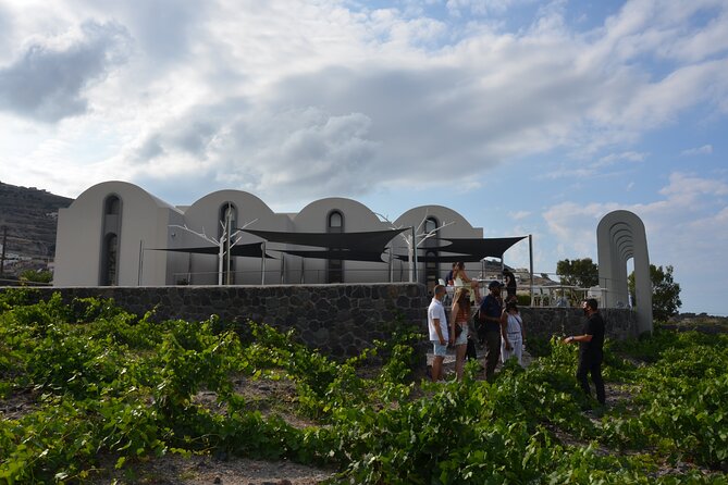 Experience Santorini Award-Winning Wineries With Sunset & Snacks. - Tour Overview