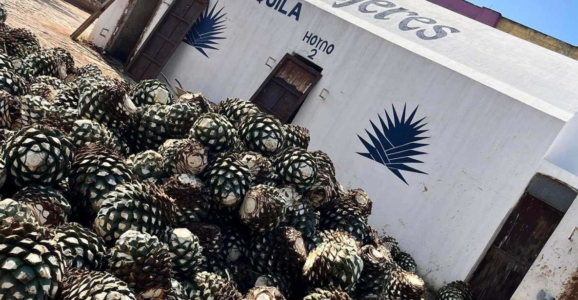 Explore Tequila: Private Trip From Guadalajara - Key Points