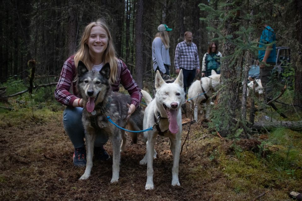 Fairbanks: Summer Mushing Cart Ride and Kennel Tour