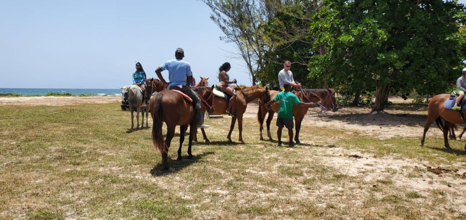 Falmouth/Montego Bay: River Tubing & Beach Ride on Horseback - Key Points