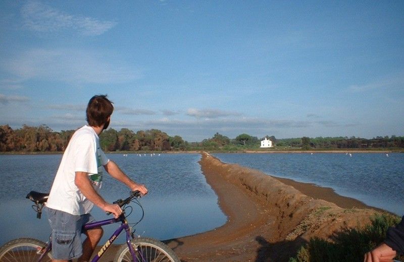 Faro Bike Tour Through the Beautiful Ria Formosa - Key Points