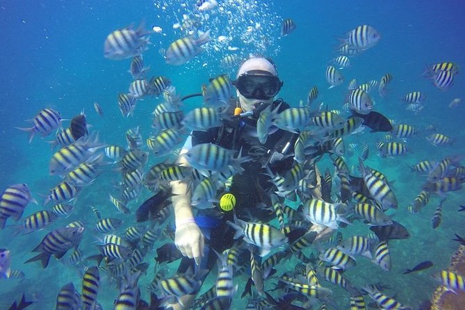 First Time Scuba Diving Experience in Punta Cana - Exploring Vibrant Coral Reefs