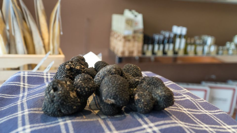 Florence: Truffle Hunting and Vinci With Lunch and Winery - Key Points