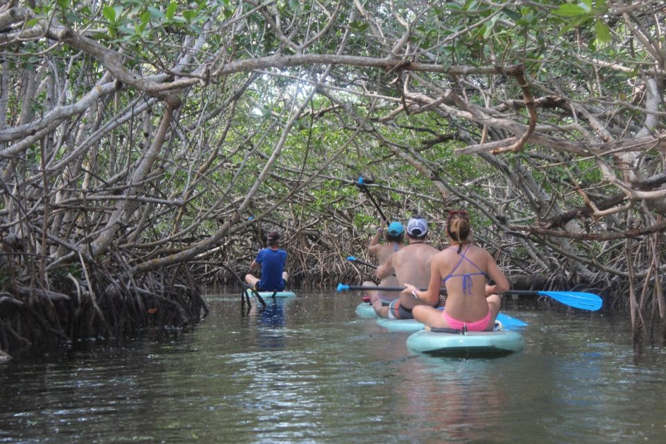 Florida Keys: Full-Day Kayak and Snorkel Reef Adventure - Key Points