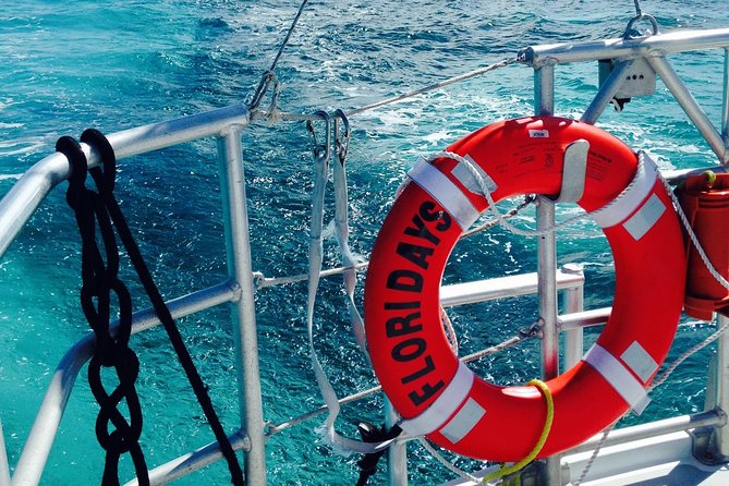 Florida Keys Reef Snorkel & Sail Adventure - Tour Highlights