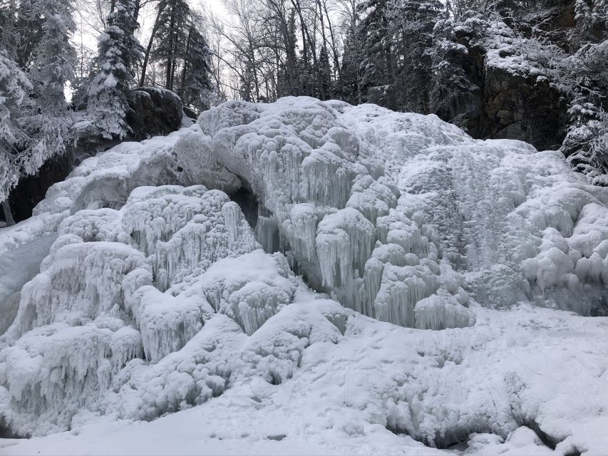 From Anchorage: Chugach State Park Winter Walking Tour - Key Points