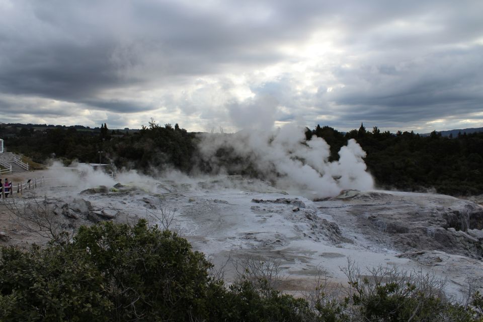 From Auckland: Hobbiton & Rotorua Tour With Lunch at Te Puia - Key Points