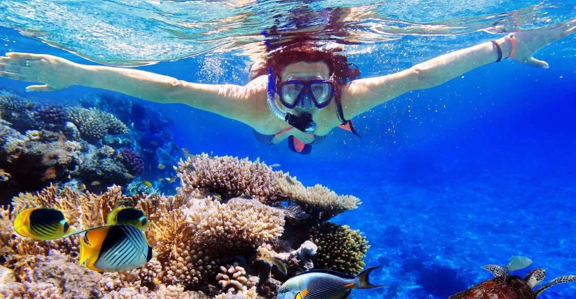 From Bali: Nusa Penida Snorkeling & Island Tour Special Trip - Key Points