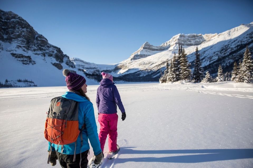 From Banff: Icefields Parkway & Abraham Lake Ice Bubbles - Key Points