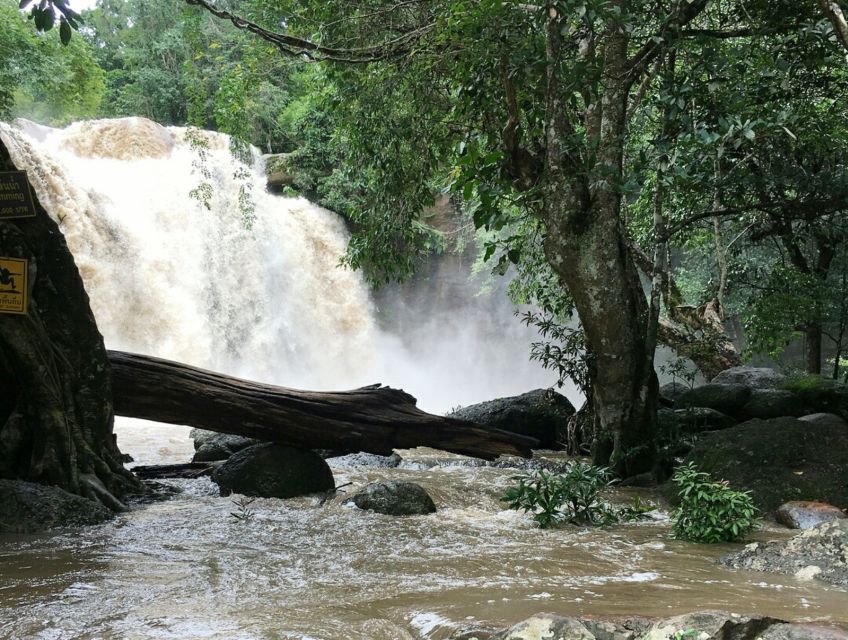 From Bangkok: Khao Yai National Park Jungle Trek With Lunch