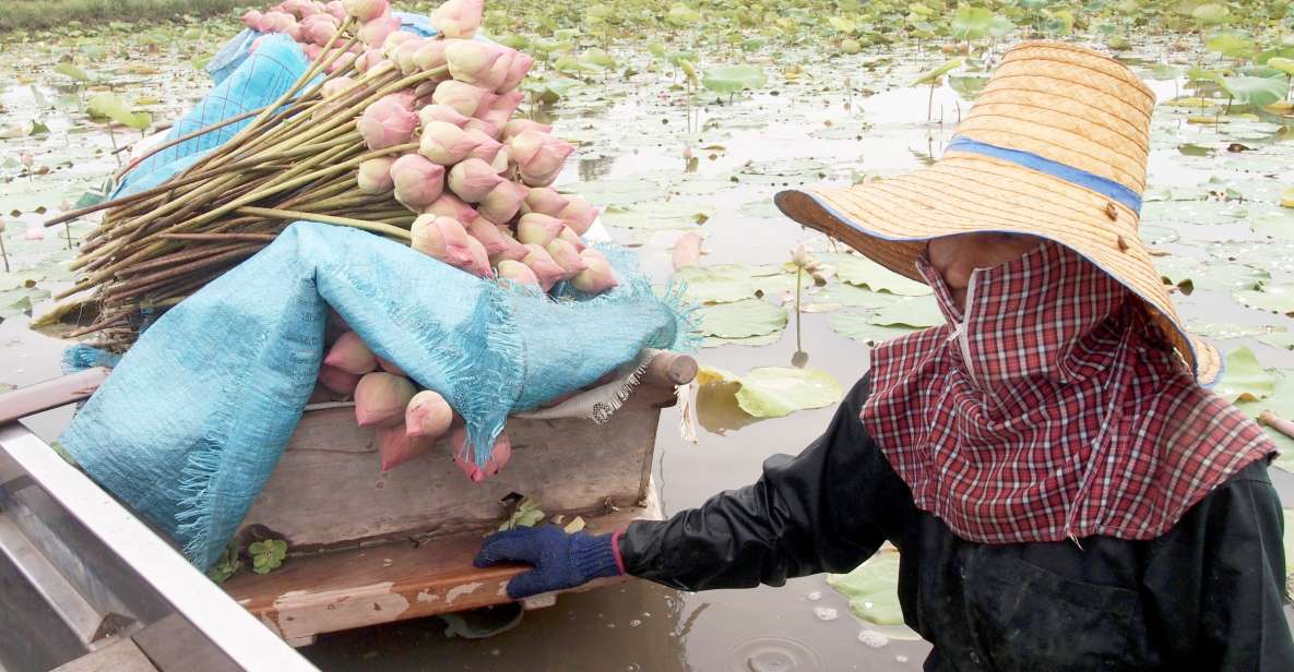 From Bangkok: Mahasawat Canal and Farm With Lunch - Key Points