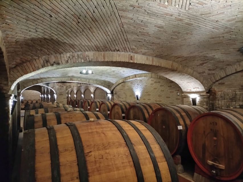 From Cagliari: Wine Cellar Tour With Tastings - Key Points