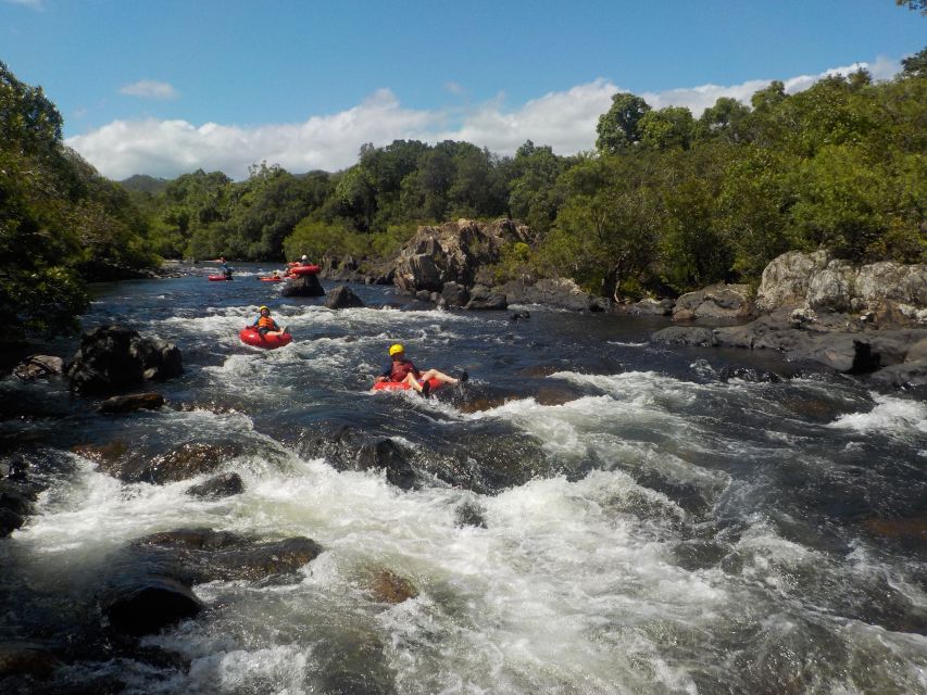 From Cairns and Northern Beaches: Rainforest River Tubing - Key Points