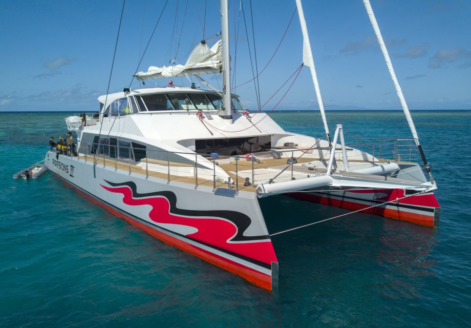 From Cairns: Great Barrier Reef Cruise by Premium Catamaran - Key Points