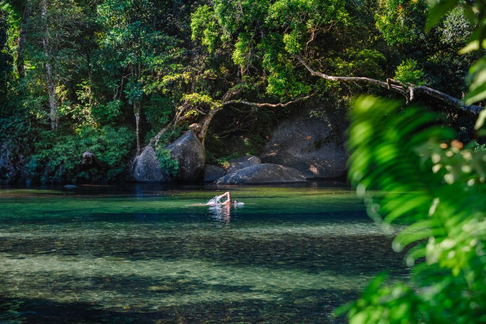 From Cairns: Splash & Slide Waterfall Tour With Picnic Lunch - Key Points