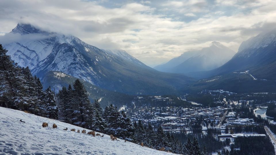 From Calgary: Banff National Park Day Trip - Key Points