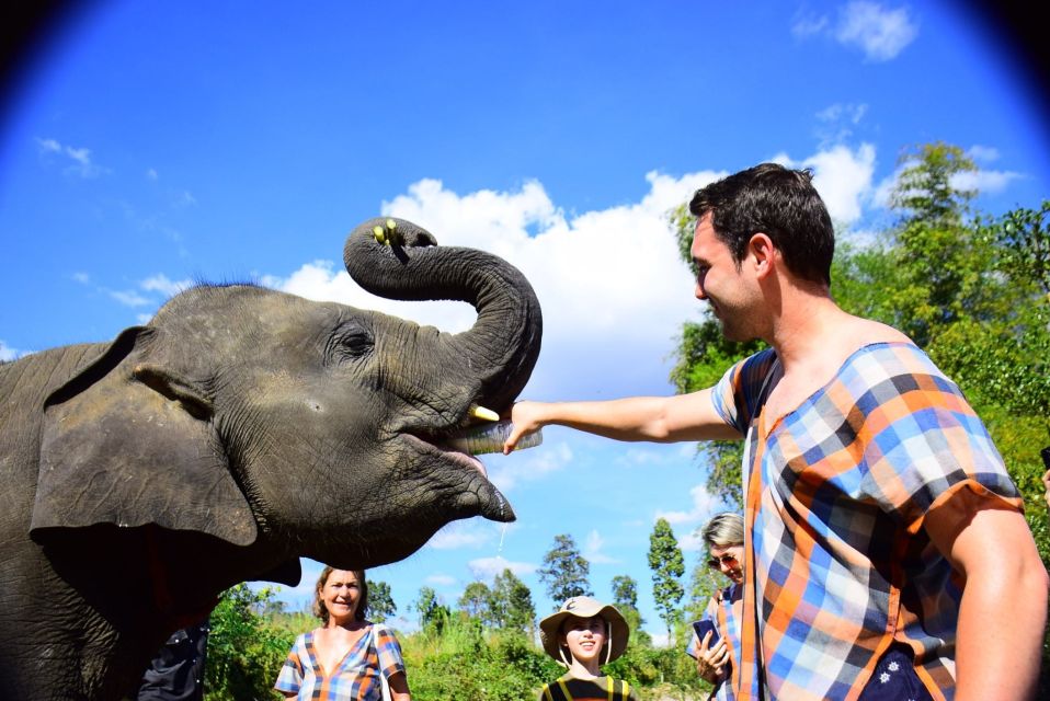 From Chiang Mai: Elephant Care Program and Nursery Tour - Tour Location and Price