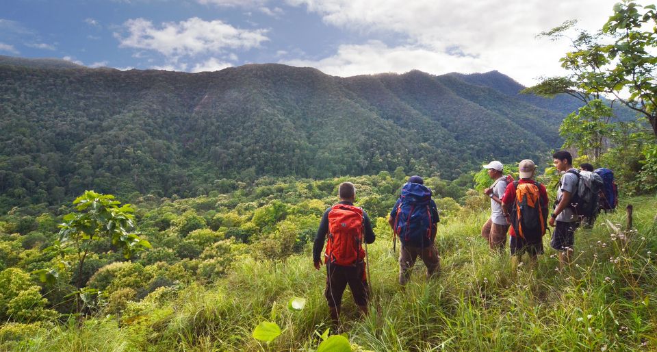 From Chiang Mai: High Mountain Day Trek - Key Points