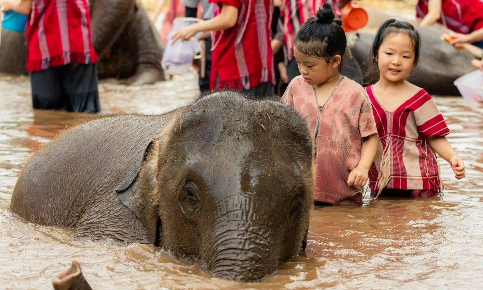 From Chiang Mai: Kerchor Eco Elephant Park Tour - Key Points