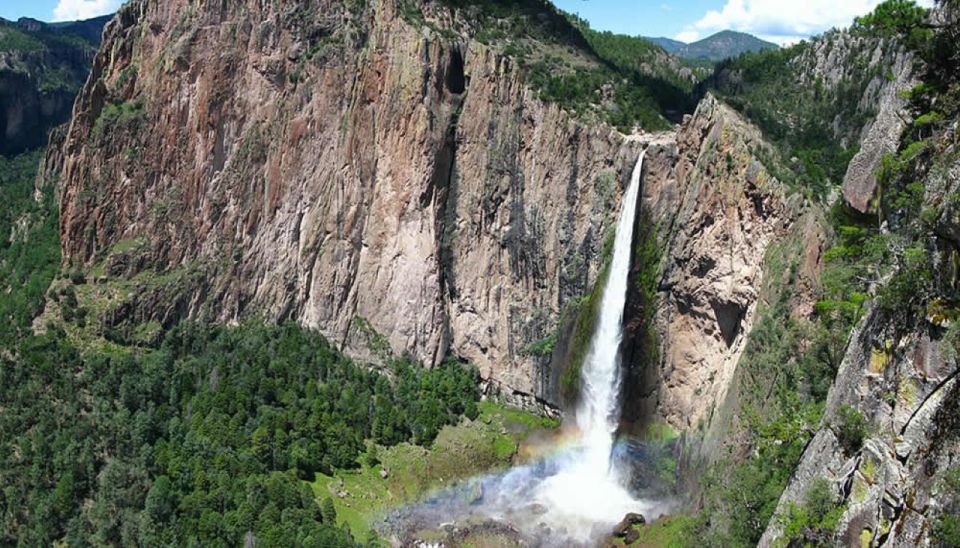 From Chihuahua: Basaseachi Waterfall National Park Tour - Key Points