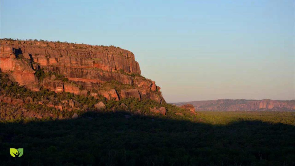 From Darwin: 2-Day Kakadu Tour With Hotel, Cruise & Rock Art - Key Points