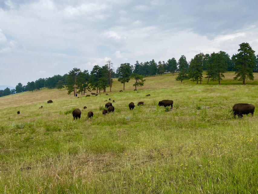 From Denver: Red Rocks and Foothills Half-Day Guided Tour - Key Points