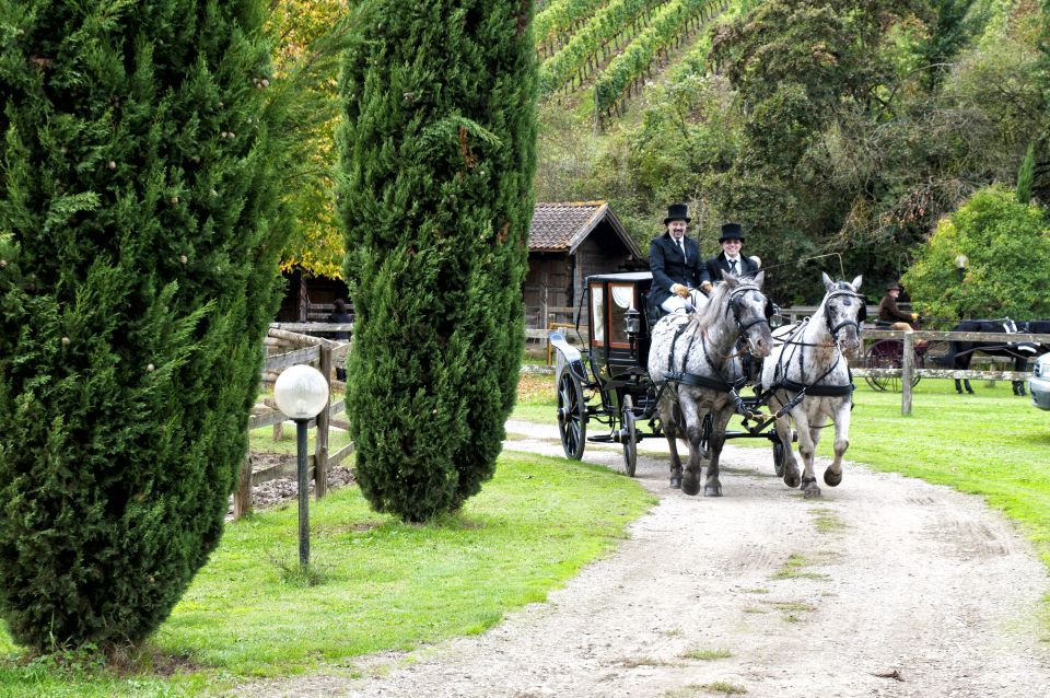 From Florence: Carriage Ride in Chianti Hills With Lunch - Key Points