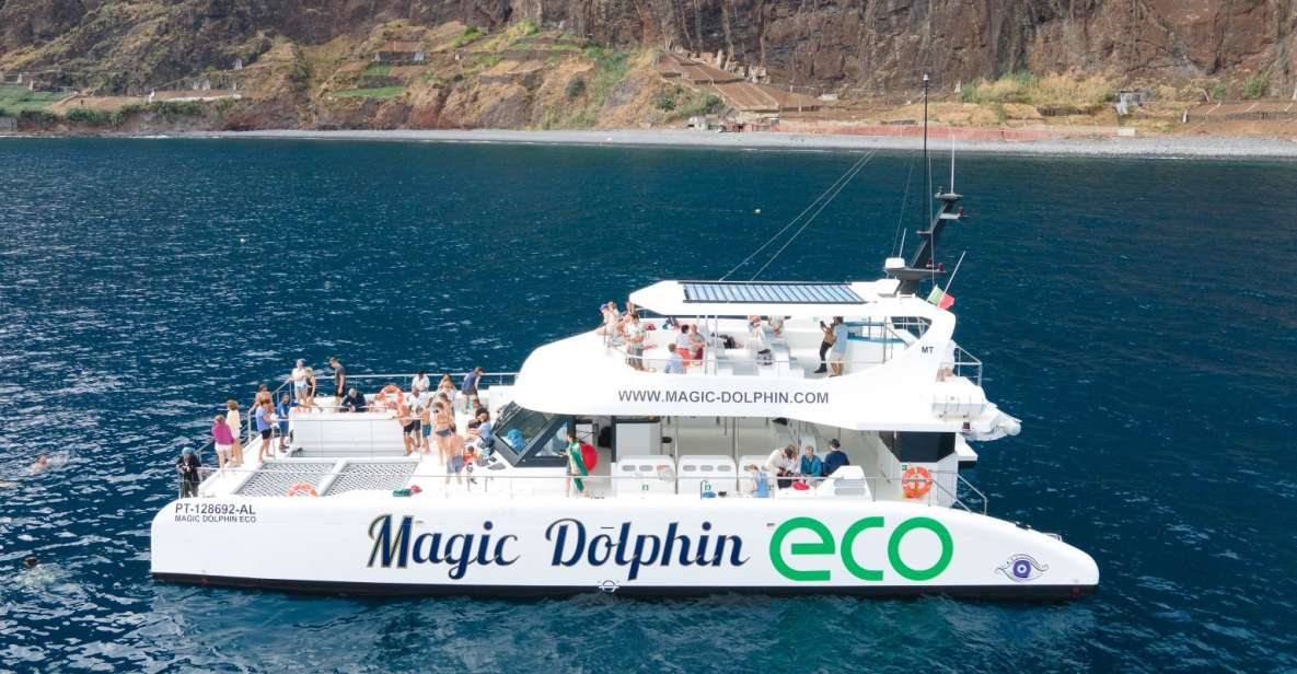 From Funchal: Ecological Catamaran Dolphin Whale Watching - Key Points