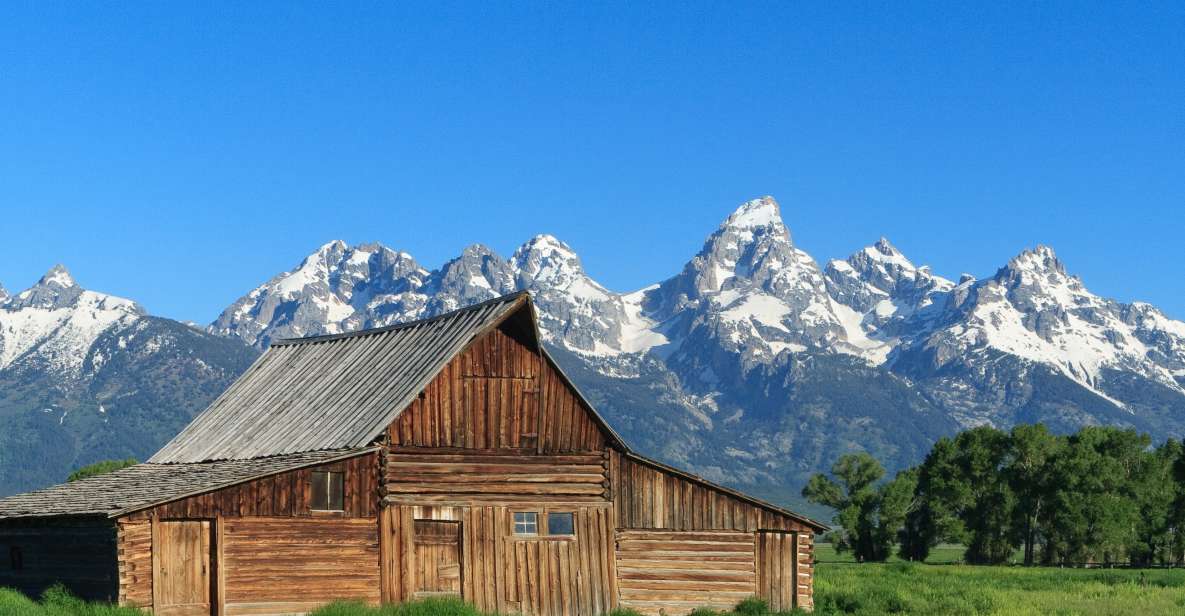 From Jackson Hole: Half-Day Grand Teton Wildlife Tour - Key Points