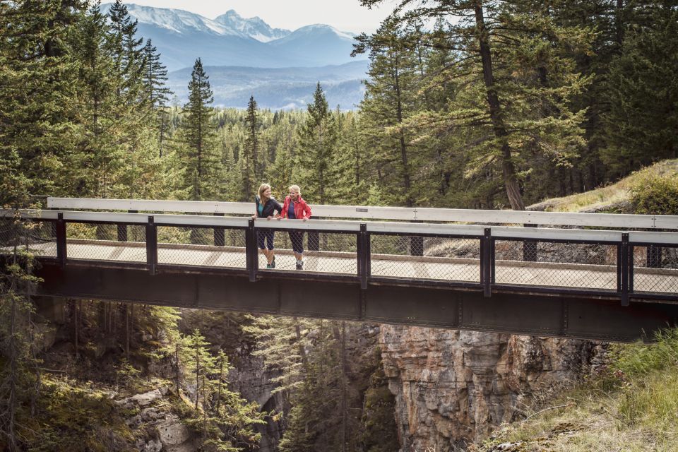 From Jasper: Jasper National Park Wildlife Discovery Tour - Key Points