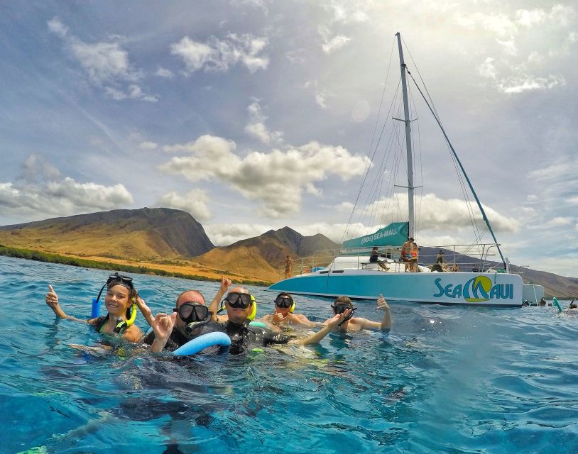 From Kaanapali: Afternoon West Maui Snorkeling & Sea Turtles - Key Points